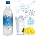 北海道 白いレモンサワーの素 500ml 【同一規格12本まで1個口送料】
