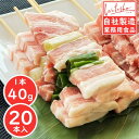 【冷凍】ワタショウフーズ 豚バラねぎ間串 40g×20本 800g 自社製造 業務用