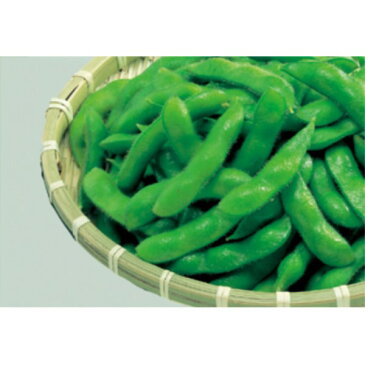 【冷凍】ノースイ 塩味 鮮やかえだまめ 500gx20