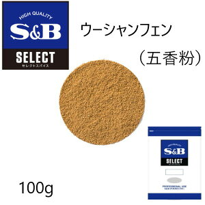 S&B(エスビー)セレクト ウーシャンフェン（五香粉）袋100g