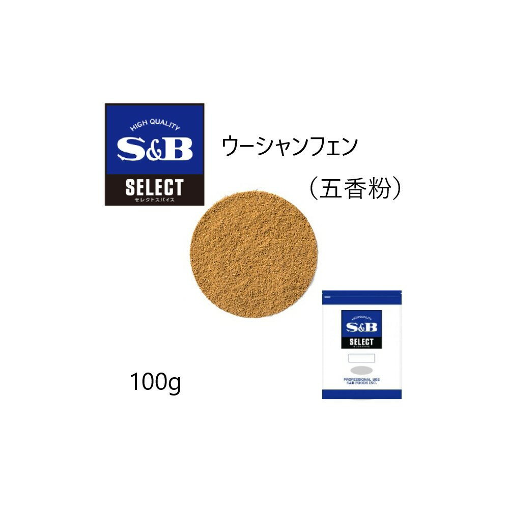 ◎S&B(エスビー)セレクト ウーシャンフェン（五香粉）袋100g