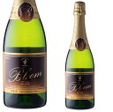 【北海道】十勝ワイン ブルーム 白 限定醸造 750ml【同一規格6本まで1個口送料】