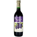 【北海道】酸化防止剤無添加ワイン&ブルーベリー 赤 720ml 【同一規格12本まで1個口送料】