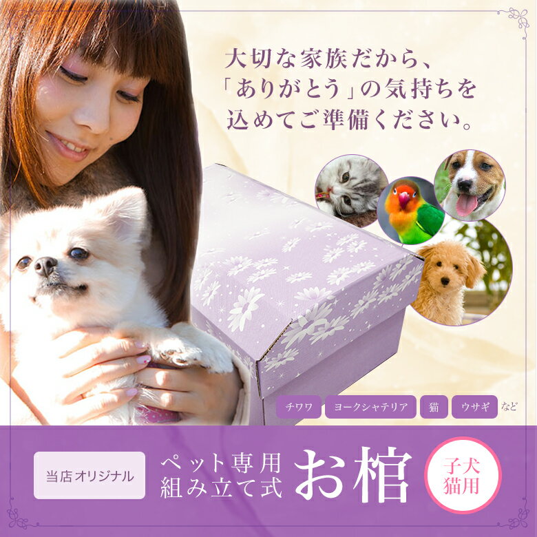 ペットの終活 ペットの棺「紫苑」子犬・猫用 ダンボール 組立式【葬儀 葬祭 供養 ペット お棺...