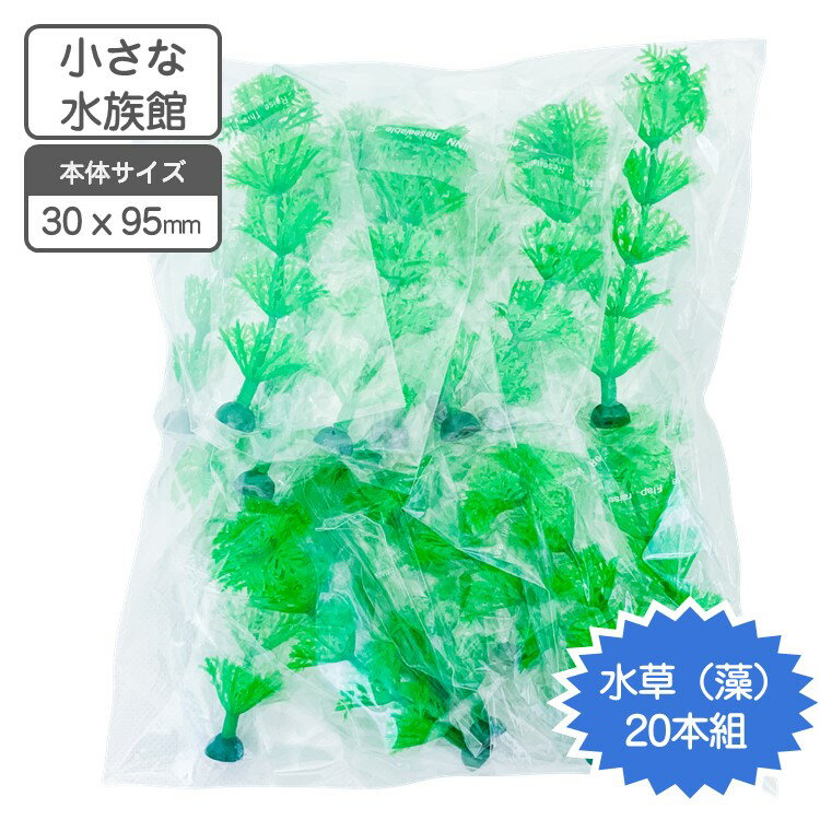 小さな水族館 水槽用装飾マスコット 藻 水草　20本セット【送料無料】 水槽 アクアリウム オブジェ オーナメント 熱帯魚 観賞魚 飼育