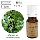 樟脳 カンファー 精油 10ml エッセンシャルオイル 100 アロマオイル 癒し 香り アロマ 100％天然成分 樟脳スプレー 芳香 クスノキ 樟脳 買い回り エッセンス くすのき ピュアオイル しょうのう