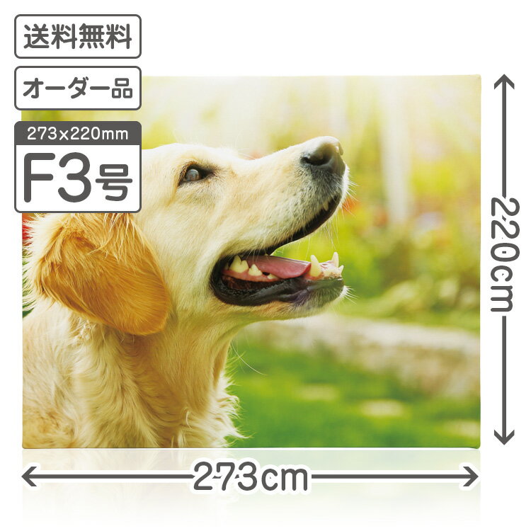 メモリアルキャンバス F3号 プリントサイズ 273×220mm オーダーメイド プレゼント ギフト 記念品 結婚記念 お祝い 七五三 成人式 大会記念 父の日 母の日 還暦祝い 壁掛け 結婚 出産 卒業 子供の成長 フォト 写真 ファブリックパネル フォトパネル ウォールデコ