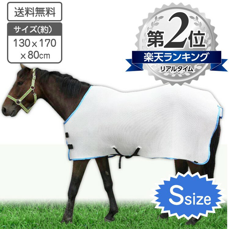 (アルマ) ARMA 馬用 ネオプレン ブラッシングブーツ 乗馬 保護 ホースライディング 【海外通販】