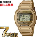 G-SHOCK Gショック DWE-5600HG-1JR CASIO 腕時計 【国内正規品】 メンズ