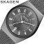 [եȤ˺Ŭ åѡ°]   ӻ 졼ͥ SKAGEN Grenen ǥ ӻ 㥳륰졼  SKW3039 ̲ ץ   ͵   ֥  ץ쥼 ե Ѹ ­ ι