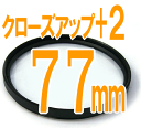 {2 ڎʗpN[YAbvY ėpJp tB^[aF77mm