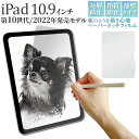 iPad 10.9インチ 第10世代 (2022年発売モデル) 液晶保護フィルム ペーパータッチフィルム アイパッド 反射防止 アンチグレア 画面保護フィルム ...