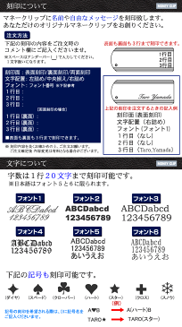 【送料無料】【名入れ刻印無料】【両面刻印可能】マネークリップ ダブルライン 札はさみ 札バサミ 紙幣 シンプル キュービックジルコニア おしゃれ 人気 ステンレス 財布 シルバーカラー 誕生日 メンズ【楽ギフ_名入れ】