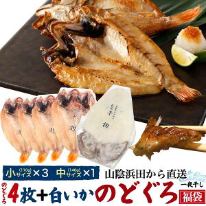 送料無料 福袋 2020 のどぐろ 干物 4枚+白イカのセット 2020年 のどぐろ干物 山陰浜田 直送 赤むつ 贈答 贈り物 結婚祝い お土産 プレゼント 自宅用 冷凍 干物 アカムツ ノドグロ のどくろ のど黒 島根県 魚 4枚詰め お祝い 国産 開き お得 迎春 正月