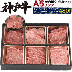 送料無料 A5ランク神戸牛 合計480g(約3〜4人用) 神戸牛焼肉セット バーベキューセット トンビ、ミスジ、ウワミスジ、クリ、カワラ、三角バラ 希少部位 食べ比べセット ブランド牛 焼き肉用 ブランド黒毛和牛 牛肉 神戸ビーフ 神戸肉 kobebeef 通販 BBQ 贈答 ギフト