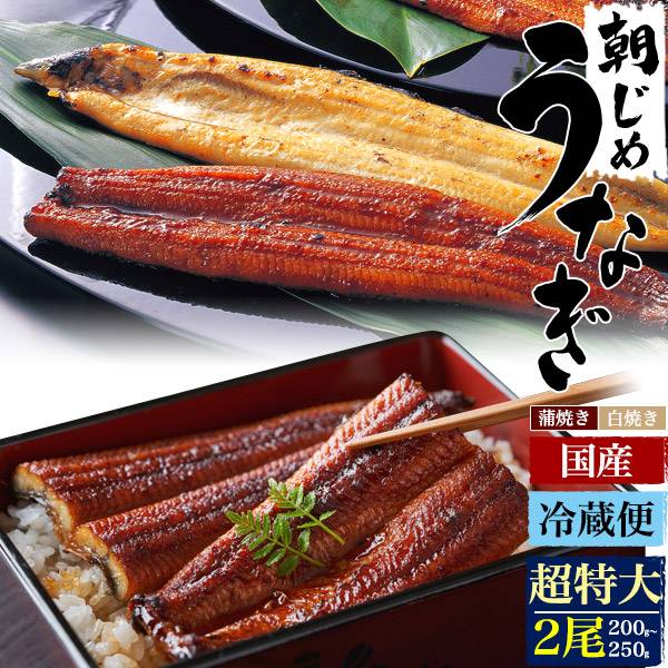 朝じめ うなぎ 国産 2尾 200g～250g 超特大サイズ 蒲焼き 白焼き 素焼き 国産うなぎ 鰻 ウナギ うなぎ蒲焼 200グラム～250グラム 2匹 2本 うなぎのたれ付 粉山椒付 鰻丼 うな丼 ひつまぶし 熨斗対応 高級食材 土用の丑の日 お中元 贈り物 贈答 冷蔵クール便 土用の日 丑の日