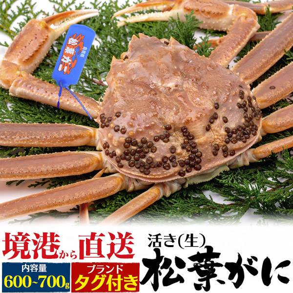 A級 活松葉ガニ ズワイガニ 1杯 約600g〜700g タグ付き カニ 生きたまま出荷 1尾 活き 産地直送 活け マツバガニ 松葉蟹 松葉カニ 蟹 かに ま...