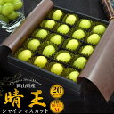 シャインマスカット 晴王 20粒入り Mサイズ 1粒:10g〜11g 岡山県産 ギフト 最上等級 特産品 旬の果物 贈答用 贈り物 産地直送 国産 高級フルーツ...