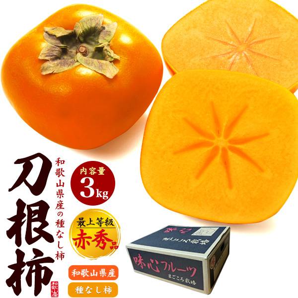 刀根柿 約3kg(M～2Lサイズ/12～15玉) 最上等級「赤秀品」 和歌山県産 紀州 贈答用 ご家庭用 国産 種なし 種無し柿 たねなし柿 とねがき フルーツ 果物 お取り寄せスイーツ ギフト お歳暮 手土産 自分用 業務用 お得用 大容量 お取り寄せ 熨斗対応