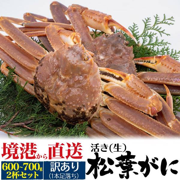 訳あり 2杯 活松葉ガニ カニ 約600g〜700g前後 ズワイガニ 生きたまま出荷 2尾 A級 活き 産地直送 活け マツバガニ 松葉蟹 松葉カニ 蟹 かに ...