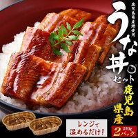 絶品うな丼セット 250g×2パック うなぎ 国産 鹿児島県産 鰻丼2杯分 国産うなぎ 鰻 ウナギ うなぎ蒲焼 蒲焼き たれ付 粉山椒付 湯煎 電子レンジ可 レンチン ギフト 熨斗対応 高級食材 土用の丑の日 お中元 贈り物 贈答用 お取り寄せグルメ 土用の日 丑の日 冷凍 ご飯付き