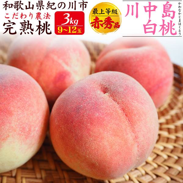 和歌山県産 桃 川中島白桃 贈答用 最上等級 赤秀品 約3kg（9～12玉入り) はくとう もも モモ 紀の川市 桃 味心 特産品 旬の果物 お中元 御中元 贈り物 出産 お礼 お返し 内祝い 甘い 産地直送 国産 高級フルーツ くだもの 果物 お取り寄せスイーツ 夏ギフト 手土産 熨斗対応のサムネイル