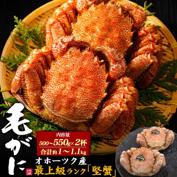 2尾 北海道オホーツク産 最高級 毛ガニ 合計約1〜1.1kg 約500g〜550g×2杯 堅蟹 国産 ボイル 茹蟹 毛蟹 姿 毛ガニ 茹で蟹 贈り物 贈答用 ...