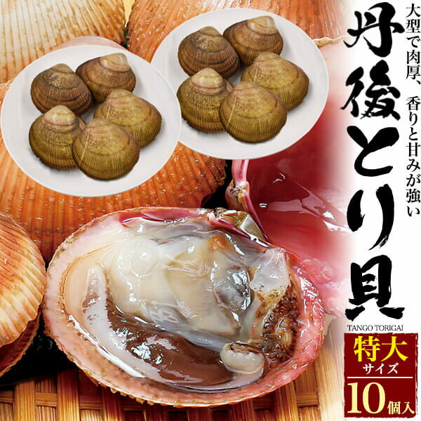 丹後 とり貝 特大サイズ 10個セット 170g～189g トリガイ 鳥貝 とりがい 魚介類 お取り寄せ 国産 京都府産 宮津 舞鶴 京のブランド産品 産地直送 産直 冷蔵 高級食材 贅沢 殻付き 活き 生きたまま 新鮮 生食 刺身 貝類 寿司ネタ 茹で 炙り 贈り物 贈答 グルメ 父の日ギフト