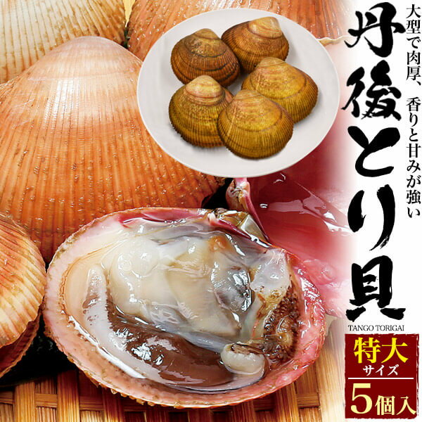 丹後 とり貝 特大サイズ 5個セット 170g～189g トリガイ 鳥貝 とりがい 魚介類 お取り寄 ...