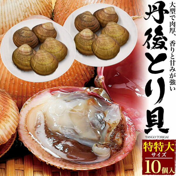 とり貝 10個セット 190g～219g トリガイ 鳥貝 特特大サイズ とりがい 魚介類 お取り寄せ 丹後 国産 京都府産 宮津 舞鶴 京のブランド産品 産地直送 産直 冷蔵 高級食材 贅沢 殻付き 活き 生きたまま 新鮮 生食 刺身 寿司ネタ 茹で 炙り 贈り物 贈答 グルメ 父の日ギフト