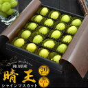 シャインマスカット 晴王 20粒入り Lサイズ 1粒:12g~14g 岡山県産 ギフト 最上等級 特産品 旬の果物 贈答用 贈り物 産地直送 国産 高級フルーツ くだもの 果物 国産 日本産 お取り寄せスイーツ 手土産 熨斗対応 種無し 種なしぶどう 葡萄 はれおう 大粒 季節の贈り物