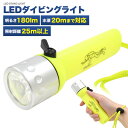 LED ダイビングライト ハンディライト ダイビング用 防水仕様 水深20m 180ルーメン 川 海 アウトドア キャンプ レジャー 停電 非常用 防災用品 防災グッズ コンパクト 片手操作 トグルスイッチ ハンドストラップ 落下防止 ハンドライト 水中 LEDライト コンパクト 電池式