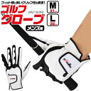 ゴルフグローブ 右利き用 左手用グローブ ゴルフ手袋 片手用 メンズ 男性用 ゴルフ 手袋 ゴルフ練習 滑り止め付き レザー エンボス加工 伸縮 フィット感 グ...