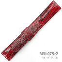 MSL079r2-18y󏭃O}[NU[higJQjEz- F:ԁEeW b xg:18,19.20mm- :5-2mm