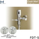FDT-S ミナミサワ MINAMISAWA 大便器用一体型タイプ FlushMan FDフラッシュマン 送料無料