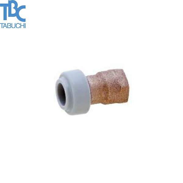 COT13-F ���֥� TBC �Ͷ��ݥꥨ�����ɡ��ݥ�֥ƥ���ѷѼ� A-Fit(�����ե��å�)���꡼�� �᥹�����ץ���