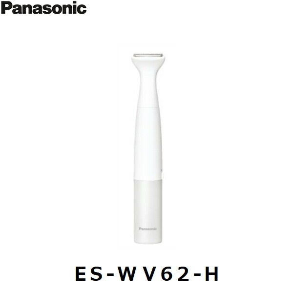 ES-WV62-H パナソニック Panasonic VIOフェリエ グレー調 送料無料