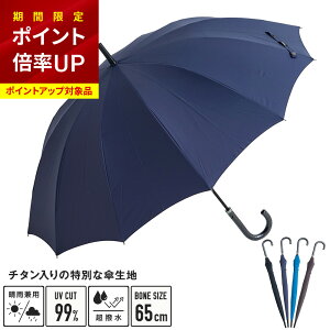 【P5倍】【チタンで紫外線を防ぐ】Waterfront 公式 テトラバリケードチタン12本骨 送料無料 超撥水 完全遮光 UVカット 99% 日傘 晴雨兼用 長傘 メンズ 大きい 無地 65 おしゃれ ギフト プレゼント ビジネス 雨傘 傘 レジャー キャンプ チタン配合【強い日差しも遮る】