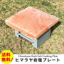 ヒマラヤ岩塩プレートMサイズ1枚 遠赤外線効果で食材をジューシーに仕上げる焼肉プレート BBQ ソロキャンプにもおススメ 牛肉牛タン海鮮に【全国送料無料】