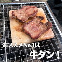 ヒマラヤ岩塩プレートMサイズ1枚　遠赤外線効果で食材をジューシーに仕上げる焼肉プレート BBQ ソロキャンプにもおススメ 牛肉牛タン海鮮に【全国送料無料】 3