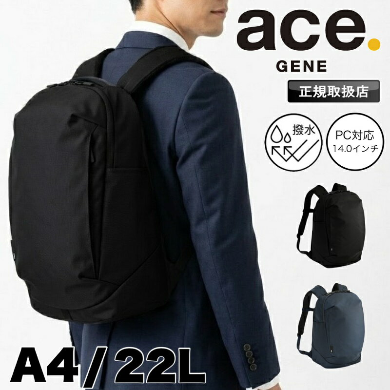 ACE シルバック 22L
