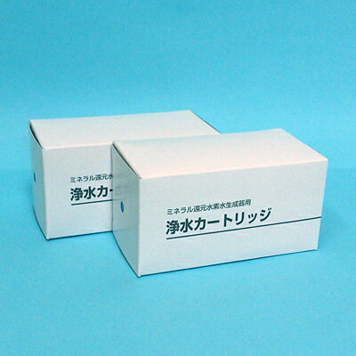 ＜2本セット＞シルバー精工 シルバーリード SILVER REED ドレスイン DLLES IN 浄水器・整水器SWM2002 SWM2003対応NSFカートリッジ＜浄水・吐水カートリッジセット＞純正品フィルター 送料無料 代引手数料無料