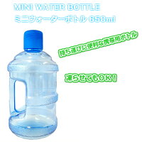 ミニウォーターボトル(容量650ml)