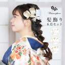 髪飾り 成人式 卒業式 花 胡蝶蘭 振袖 袴 着物 日本製 Watmosphere ワトモスフィア 25w203 【 かみかざ 6点セット 水引 かすみ草 レデ...
