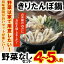 《売れ筋商品》話題の!極上きりたんぽ鍋セット4〜5人前【野菜なしセット】【感謝!感謝!の当店人気第1位】
