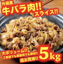 牛バラ肉 5kg 5キロ スライス 牛肉 外国産 焼肉 BBQ パーティー 冷凍 牛丼