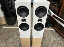 ^mC TANNOY tA^Xs[J[ yA WH Platinum F6 yÁz