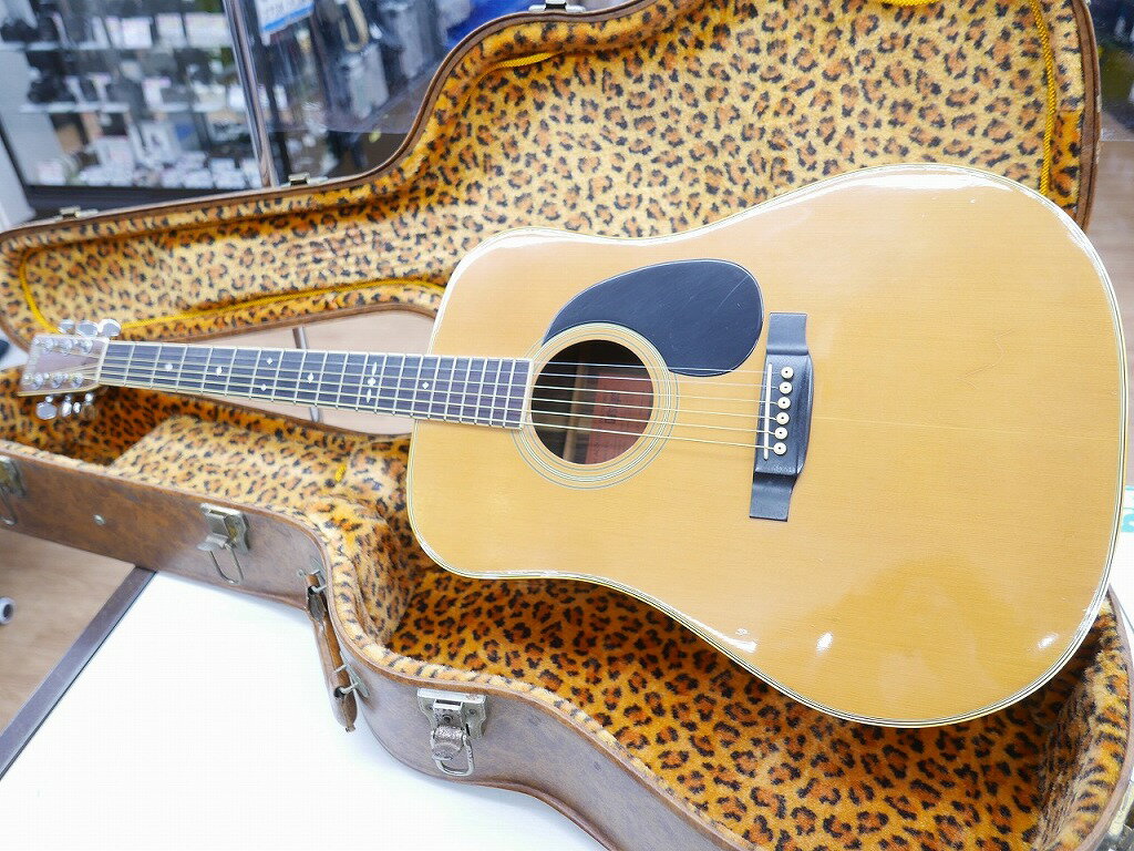 キャッツアイ Cat`Eyes アコースティックギター CE-300 訳アリ品 【中古】