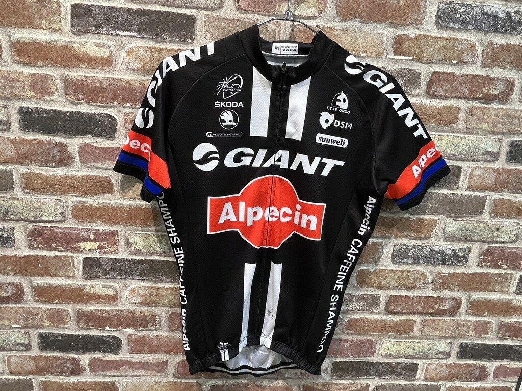 alpecin 半袖サイクルジャージ上下セット M 【中古】