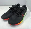 ナイキ NIKE Air Zoom Pegasus 38 DQ4994-010 【中古】